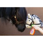 Hobby horse magic clean EQUINATURA
