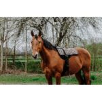 NORTON Bareback-Riding pad – Kiowa - Image 5