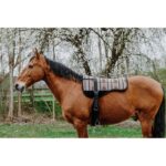 NORTON Bareback-Riding pad – Kiowa - Image 3