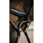 NORTON Bridle - Diams - Image 3
