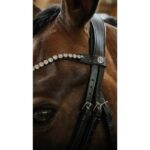 NORTON Bridle - Diams - Image 2
