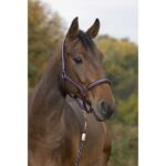 Halter and lead rope NORTON - Brilliant
