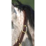 NORTON CLUB halter with double closure - Image 5