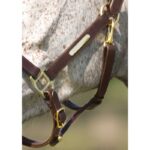 NORTON CLUB halter with double closure - Image 4