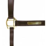 NORTON CLUB halter with double closure - Image 3