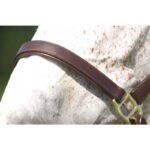 NORTON CLUB halter with double closure - Image 2