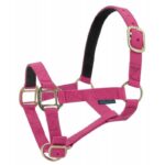 NORTON Leather Lined Nylon Headcollar - Image 14