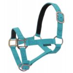 NORTON Leather Lined Nylon Headcollar - Image 12
