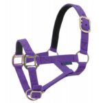 NORTON Leather Lined Nylon Headcollar - Image 11