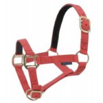 NORTON Leather Lined Nylon Headcollar - Image 10