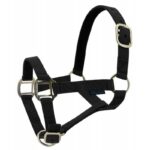 NORTON Leather Lined Nylon Headcollar - Image 13