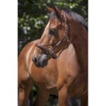 NORTON PRO - Grooming - Leather headcollar - Image 6