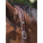 NORTON PRO - Grooming - Leather headcollar - Image 5