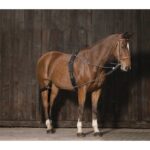 NORTON Pulley training aid - Image 2