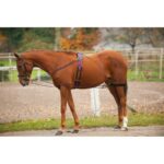 NORTON Pulley training aid