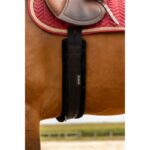 NORTON - Smooth - Elastic Girth - Image 4