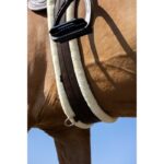 NORTON - Smooth - Elastic Girth - Image 2