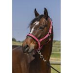 NORTON - 4lines - Headcollar - Image 6