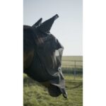 PRO SERIES Fly Mask with UV Protection - Visor - Image 3