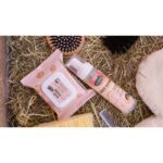 Easy Shine Wipe RAVENE - Cleaning Wipes - Image 2