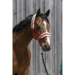 RIDING WORLD Headcollar, synthetic sheepskin - Image 7