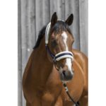 RIDING WORLD Headcollar, synthetic sheepskin - Image 3