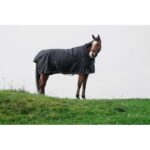 RIDING WORLD - Oxford - Waterproof Rug - Image 5