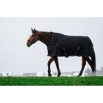 RIDING WORLD - Oxford - Waterproof Rug