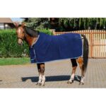 RIDING WORLD Fleece presentation sheet