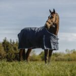RIDING WORLD Blanket - Eco 600D