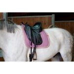 EQUITHÈME "Softy" Dressage Saddle pad - Image 16