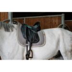 EQUITHÈME "Softy" Dressage Saddle pad - Image 10