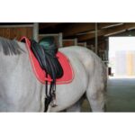 EQUITHÈME "Softy" Dressage Saddle pad - Image 31
