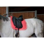 EQUITHÈME "Softy" Dressage Saddle pad - Image 32