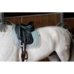 EQUITHÈME "Softy" Dressage Saddle pad - Image 5