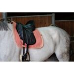 EQUITHÈME "Softy" Dressage Saddle pad - Image 24