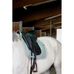 EQUITHÈME "Softy" Dressage Saddle pad - Image 4