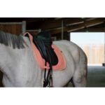 EQUITHÈME "Softy" Dressage Saddle pad - Image 23