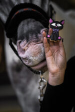 CANDY HORSE Cookie with icing HALLOWEEN BLACK CAT - Image 3