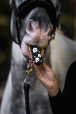 CANDY HORSE Eclair with icing HALLOWEEN - Image 4