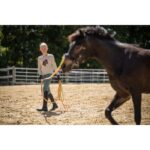 HKM Lunge line -Rainbow- - Image 3