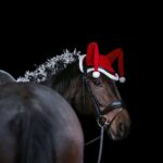 HKM Ear bonnet -Christmas- - Image 4