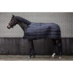 Armadillo LAMI-CELL Under Rug