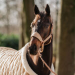 HORKA Halter set VELVET - Image 2