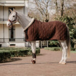 HORKA Show rug VELVET - Image 3