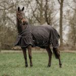 HORKA Turnout rug TURI 50 GSM fleece lining/600D
