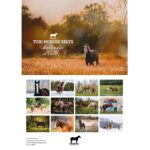 TORI HOBUSE SELTSI KALENDER 2026