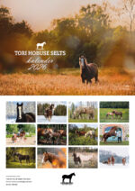 TORI HOBUSE SELTSI KALENDER 2026 - Image 3