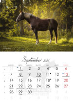 TORI HOBUSE SELTSI KALENDER 2026 - Image 6