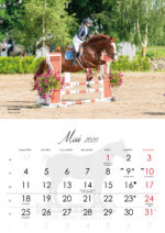 TORI HOBUSE SELTSI KALENDER 2026 - Image 4